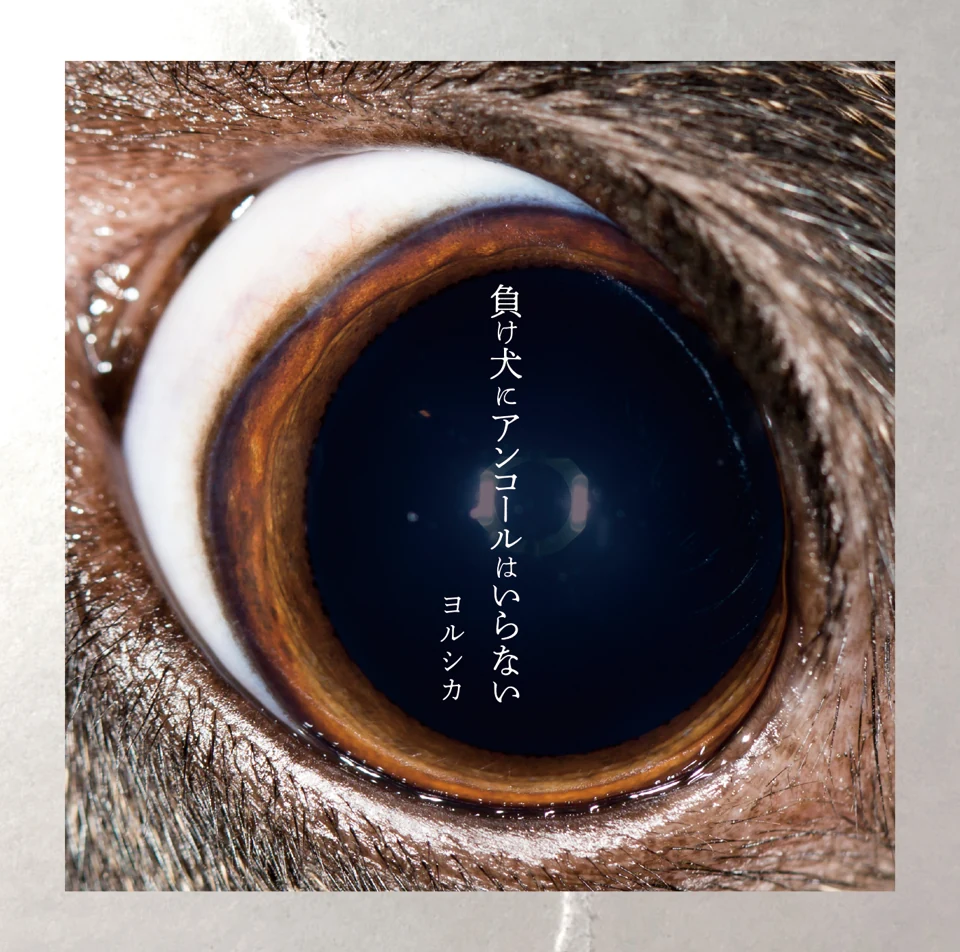 ปก 負け犬にアンコールはいらない
