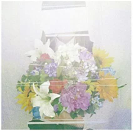 ปก 夏草が邪魔をする